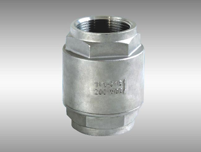 2-PC Spring Vertical Check Valve