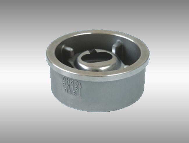 Disk Check Valve