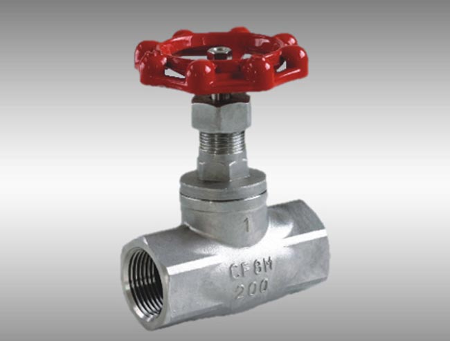 Globe Valve