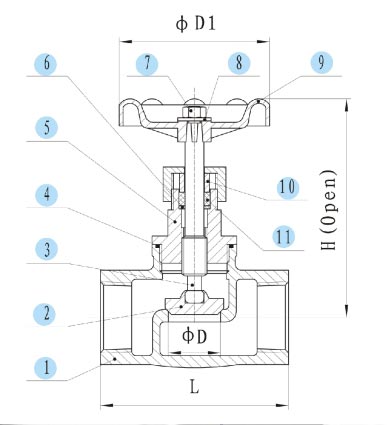 Globe Valve